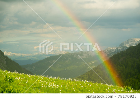 green meadow in Lukavica Plateau in the spring, Montenegro 79170923