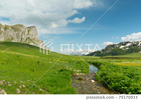 green meadow in Lukavica Plateau in the spring, Montenegro 79170933