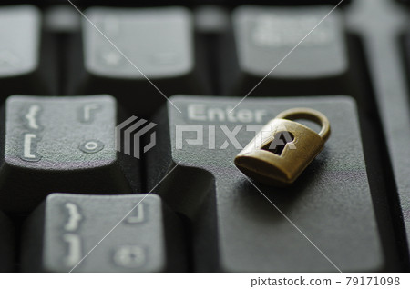 安全措施的圖像材料（互聯網、PC、個人信息、病毒） 79171098