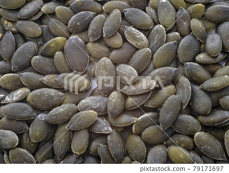 marrow seed in studio marrow seed in studio 79171697