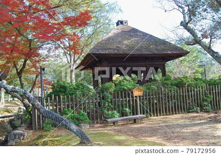 Scenery of the autumn leaves 79172956