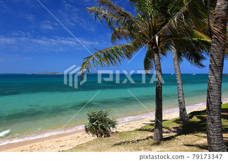 Anse Vata beach near Noumea, the capital of New Caledonia in Melanesia, South Pacific Anse Vata beach near Noumea, the capital of New Caledonia in Melanesia, South Pacific 79173347