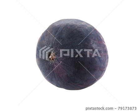 Purple fig isolated on white with copy space for text or images. Soft, sweet fruit, skin is very thin, has many small seeds inside of it. Close-up. 79173873
