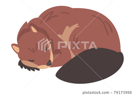 Cute Brown Sleeping Beaver, Wild Rodent Mammal Animal Cartoon Vector Illustration Cute Brown Sleeping Beaver, Wild Rodent Mammal Animal Cartoon Vector Illustration 79173998