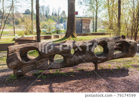 Rosenheim Germany Bavaria 25 April Tree with holes 79174599