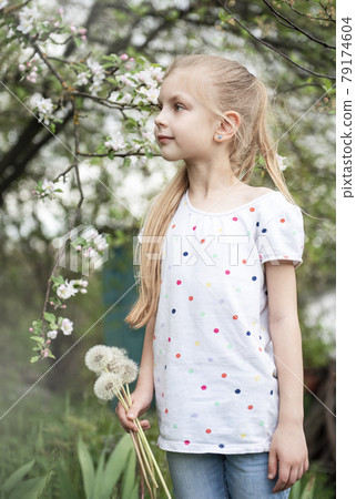 Little girl with white dandelions in her hands 79174604