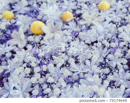 Flower arrangement of Madagascar jasmine, hydrangea, gypsophila 79174649