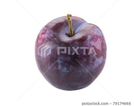 Smooth-skinned, mellow, purple plum fruit isolated on white background with copy space for text or images. Side view. Close-up shot. 79174668