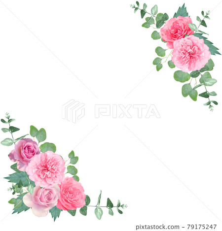 美麗的月季花草白色背景插畫素材，色彩柔和的矢量素材 79175247