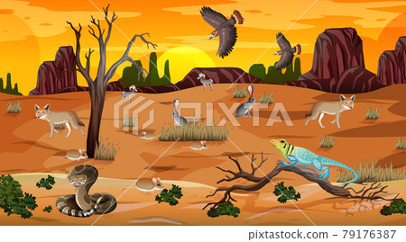 Desert forest landscape at sunset time scene with wild animals 79176387
