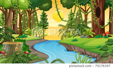 Forest landscape scene at sunset time with many... - Stock Illustration ...