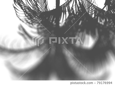棕櫚樹剪影，在風中搖曳的圖像 79176994