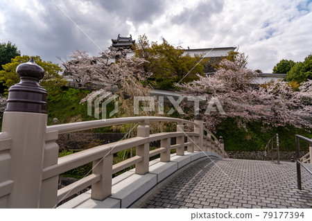 Fukuchiyama City, Kyoto Prefecture Spring Fukuchiyama Castle Park and Shoryu Bridge Fukuchiyama City, Kyoto Prefecture Spring Fukuchiyama Castle Park and Shoryu Bridge 79177394