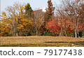 紅葉公園秋景 79177438