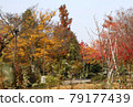 紅葉公園秋景 79177439