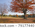 紅葉公園秋景 79177440