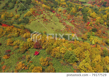 從那須索道內看到的那須山的紅葉[櫪木縣那須町] 79177529