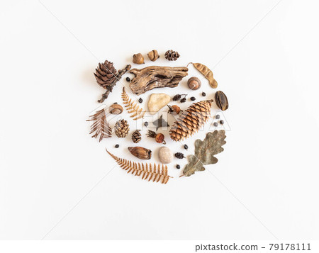 Flat lay round autumn composition. Collection of various fall forest materials. 79178111