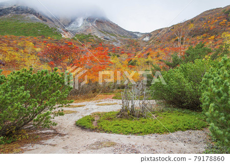 Autumn scenery of Mt. Chausu and Mt. 79178860