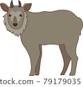 Illustration of Japanese serow 79179035