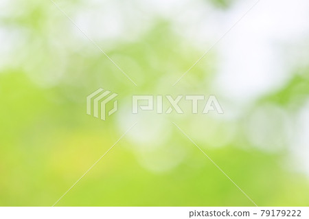 Background material, fresh green, green blur of green leaves of trees, bokeh, ball bokeh, fluffy, gradation. Background material, fresh green, green blur of green leaves of trees, bokeh, ball bokeh, fluffy, gradation. 79179222