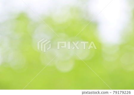 Background material, fresh green, green blur of green leaves of trees, bokeh, ball bokeh, fluffy, gradation. 79179226