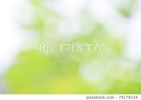 Background material, fresh green, green blur of green leaves of trees, bokeh, ball bokeh, fluffy, gradation. 79179234