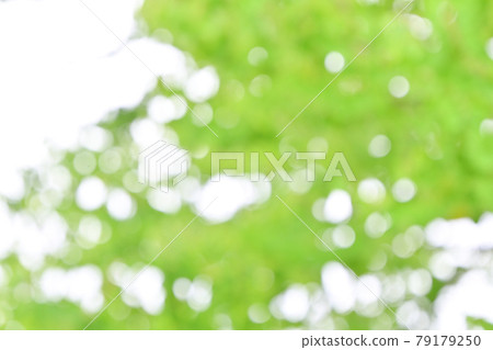 Background material, fresh green, green blur of green leaves of trees, bokeh, ball bokeh, fluffy, gradation. 79179250