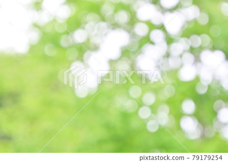 Background material, fresh green, green blur of green leaves of trees, bokeh, ball bokeh, fluffy, gradation. Background material, fresh green, green blur of green leaves of trees, bokeh, ball bokeh, fluffy, gradation. 79179254