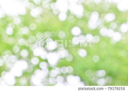 Background material, fresh green, green blur of green leaves of trees, bokeh, ball bokeh, fluffy, gradation. 79179258