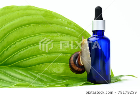 green leaf and brown snail sits on a blue glass transparent bottle with a pipette, booty product isolated on a white background green leaf and brown snail sits on a blue glass transparent bottle with a pipette, booty product isolated on a white background 79179259