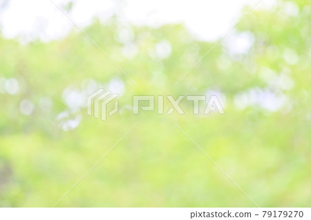 背景材料,新鮮的綠色,綠葉的綠色模糊,散景,球散景,蓬鬆,漸變。 背景材料,新鮮的綠色,綠葉的綠色模糊,散景,球散景,蓬鬆,漸變。 79179270
