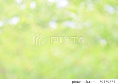 背景材料,新鮮的綠色,綠葉的綠色模糊,散景,球散景,蓬鬆,漸變。 背景材料,新鮮的綠色,綠葉的綠色模糊,散景,球散景,蓬鬆,漸變。 79179271