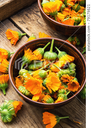 Marigold flowers or calendula,natural medicine Marigold flowers or calendula,natural medicine 79179821