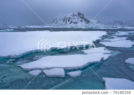 Drift floating Ice and Snowcapped Mountains, Arctic, Svalbard, Norway 79180108