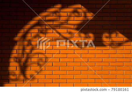 Beautiful patterned shadow on a red brick wall. 79180161