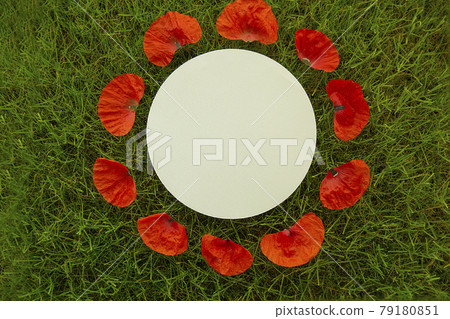 A white sheet of paper in the center of a circle of poppy petals lies on the grass A white sheet of paper in the center of a circle of poppy petals lies on the grass 79180851