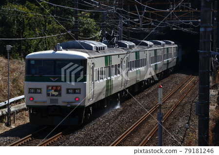 特急Odoriko:185系列火車(15列火車) 特急Odoriko:185系列火車(15列火車) 79181246