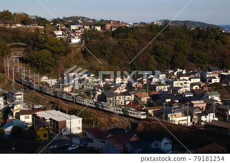 特急Odoriko：185系列火車（10列火車） 79181254