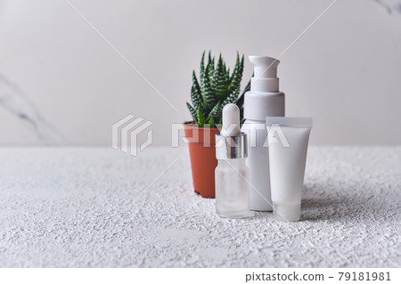 aloe vera extract in different containers and small pot of aloe 79181981