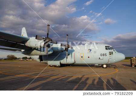 C-130H 運輸機 (JASDF) C-130H 運輸機 (JASDF) 79182209