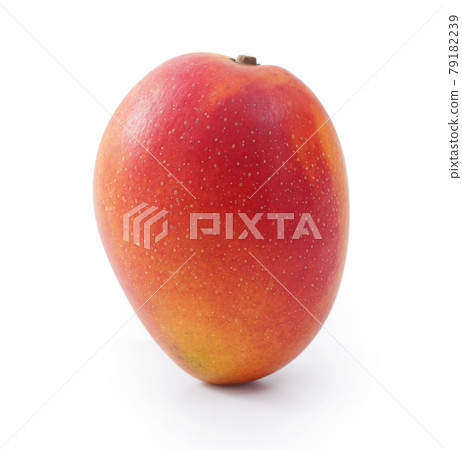mango fruit go back summer tropical Fresh Mango isolated マンゴ cut り抜き mango fruit go back summer tropical Fresh Mango isolated マンゴ cut り抜き 79182239