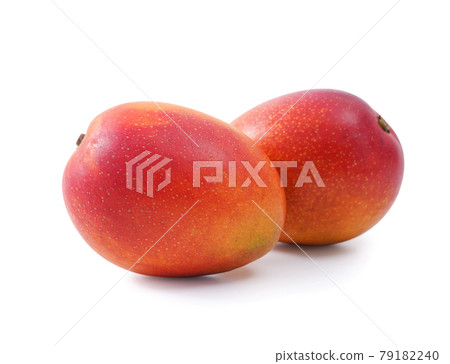 mango fruit go back summer tropical Fresh Mango isolated マンゴ cut り抜き mango fruit go back summer tropical Fresh Mango isolated マンゴ cut り抜き 79182240