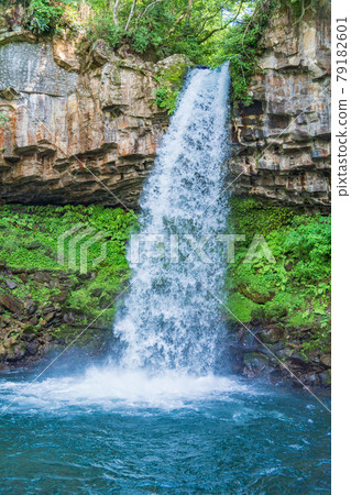 (Shizuoka Prefecture) Manjo Waterfall in Izu (Banjo no Taki) 79182601