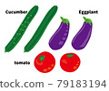 Summer vegetables cucumber tomato eggplant 79183194