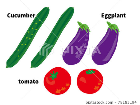 Summer vegetables cucumber tomato eggplant Summer vegetables cucumber tomato eggplant 79183194