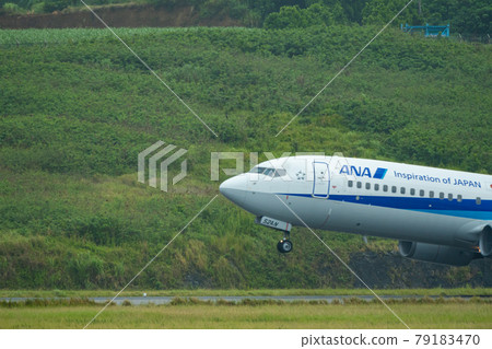 Okinawa Prefecture Ishigaki City Ishigaki Island New Ishigaki Airport Remote Island Resort Island Heaven Summer Holiday Sightseeing Travel Airways ANA 79183470