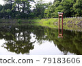 The tranquility of the park pond 79183606