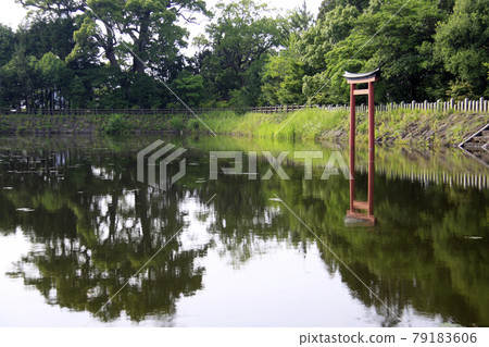 The tranquility of the park pond The tranquility of the park pond 79183606