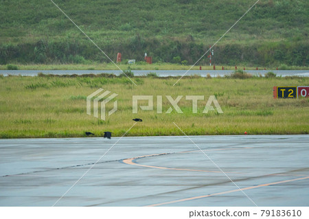 Okinawa Prefecture Ishigaki City Ishigaki Island New Ishigaki Airport Remote Island Resort Island Heaven Summer Holiday Sightseeing Travel Airplane Runway 79183610